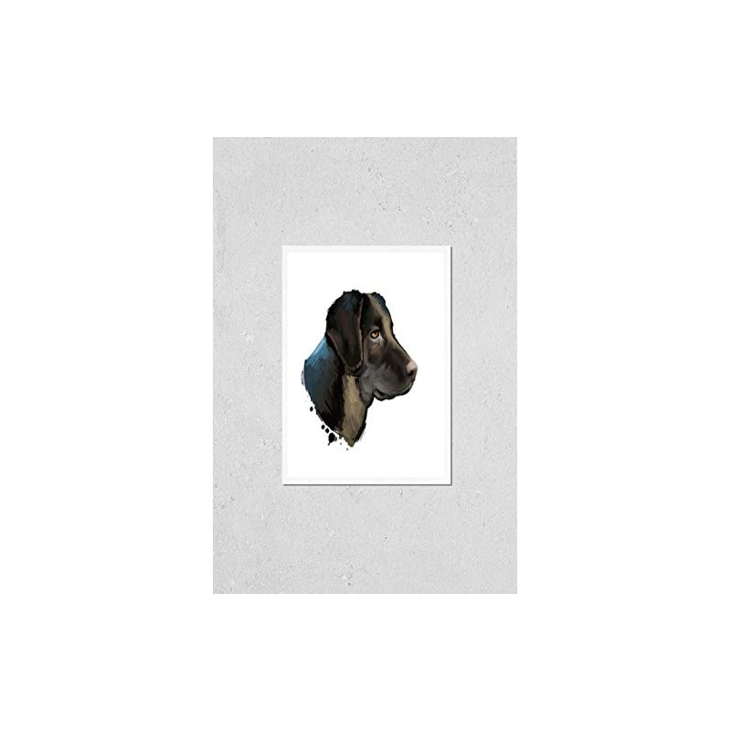 Poster Reproduction of Cao de Castro Laboreiro dog breed isolated
