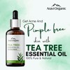 Aravi Organic Tea Tree Essential Oil - 15 ml |