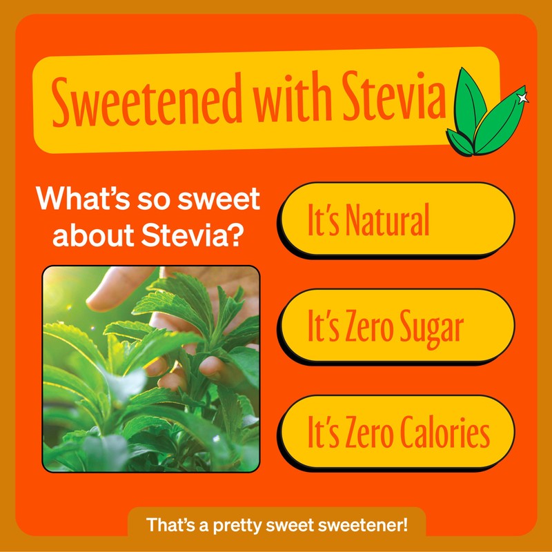 Zevia Zero Calorie Soda, Orange, 12 Ounce Cans (Pack of