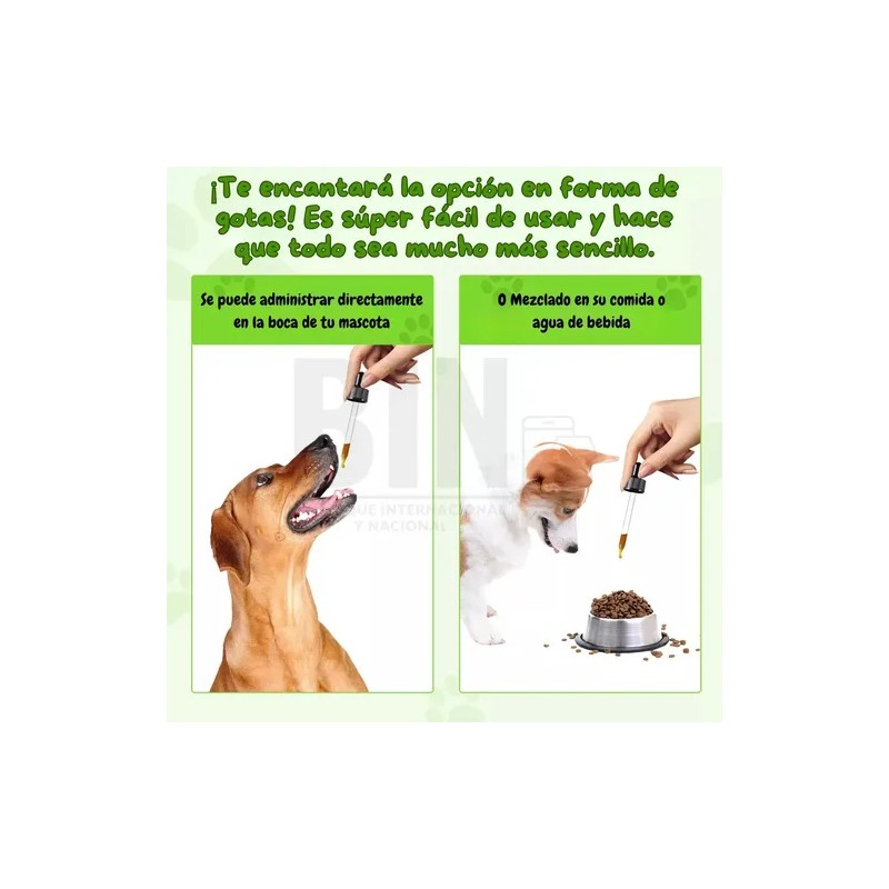 Suplemento Alimenticio Perro Probióticos Enzimas Digestivas