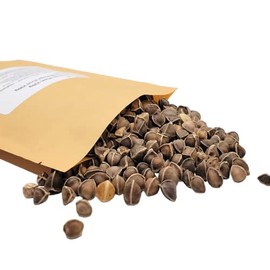 Herbal Cure - Dried Moringa Seeds 230g - Product of China