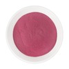 ChamGoods 레드비트 분말 가루 500g 1팩 Red Beet Powder 500g