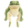 Ice King Bear Plush Giant Frog Stuffed Animal Soft Toy,