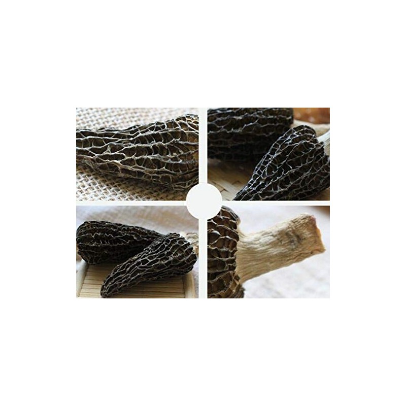 Jumbo Dried Morel Morchella Mushroom Crop Top Grade Premium Quality