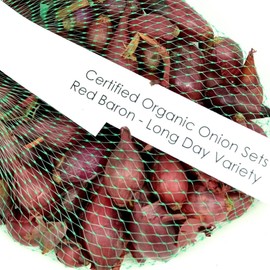Stargazer Perennials Red Baron Onion Sets 1 Pound | Organic Non-GMO Bulbs - Easy to Grow…