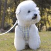 Kuveela Pet Harness and Leash Set, for Dogs and Cats,