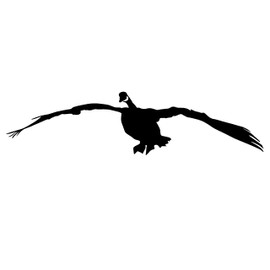 Honker Goose Flying Trailer Decal Goose Wall Decal goose decals for trailer 2011 T - 48 inch by Waterfowldecals (Black)