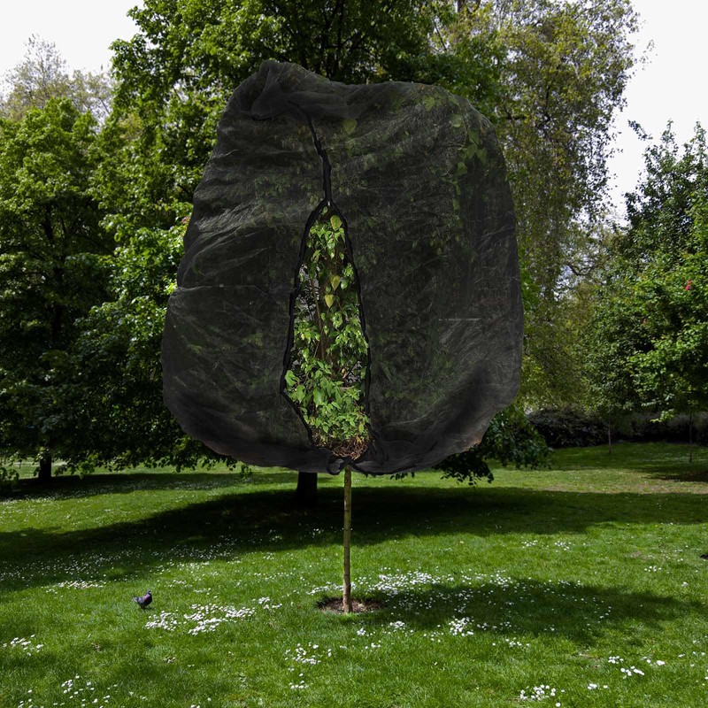 2pcs 10ftx10ft Large Fruit Tree Netting Bags, Bird Netting Cover