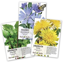 Seed Needs, Dandelion Seed Collection (3 Individual Packets) Non-GMO