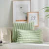 DEELAND Pack of 2,Double-Sided Faux Fur Plush Decorative Throw Pillow