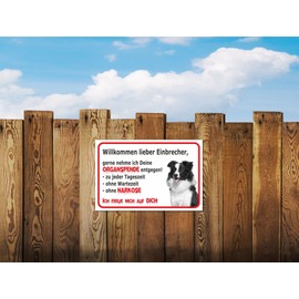 AdriLeo Sign "Vorsicht Border Collie" (Welcome Dear Burglars) (30 x 40 cm) / Caution Dog Guard Dog Shepherd Dog