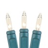 Novelty Lights 5.5 Feet 10 Bulb Clear Mini Light String