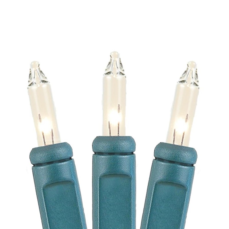 Novelty Lights 5.5 Feet 10 Bulb Clear Mini Light String