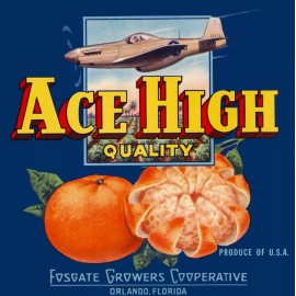 Ace High Quality Orlando Florida Ace High Quality Brand Orange Citrus Fruit Crate Label Print