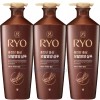 Ryeo 려 홍진단 홍삼 모발영양 샴푸 820ml x3개 약해진 두피와
