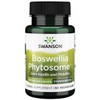 Swanson Standardized Boswellia Phytosome 300 Milligrams 60 Veg Capsules