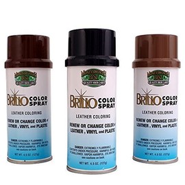 Moneysworth & Best Brillo Color Spray (White #017)