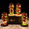 Glass Dome Rose Ornament LED Strip Light Blessing Romantic Glass