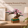 NEWABWN 3-in-1 Cherry Blossom Bonsai Tree Building Set, 711 Pieces