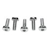 Brake Rotor Chrome Bolt Kit For Harley Davidson Motorcycles, Front