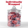 SWEDISH FISH Individually Wrapped Soft & Chewy Candy, Bulk Candy,