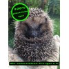 2 x DBT Skills Hedgehog Ball, Magnetic High Stress Acupressure