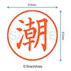 シャチハタ 印鑑 ハンコ ネーム9 XL-9 印面9.5ミリ 潮