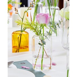 ZENS Bud Vases in Bulk Set of 16, Modern Small Glass Vases for Flower Clear Bud Vases for Wedding Centerpiece, Modern Blown Small Vase for Flowers, Wedding Party Events Decorative Home Decor