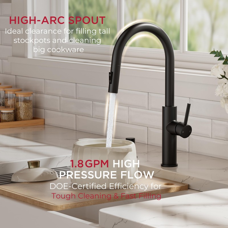 FORIOUS Kitchen Faucet with Pull Down Sprayer, Classic Matte Black,