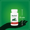 VIZANA NUTRITION | Moringa Orgánica Certificada en Cápsulas Pullulan Orgánica