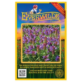 Everwilde Farms - 2000 Heal All Native Wildflower Seeds - Gold Vault Jumbo Seed Packet
