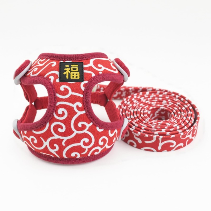 JOYFUSION Harness for Dogs, Arabesque Pattern, Dog Harness and Lead