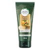 HERBAL ESSENCES Bio:Renew, Acondicionador sin sal' de uso diario para
