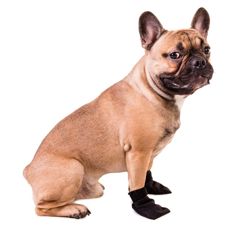 NON-stop dogwear Dog Shoes Solid Booties 1 Pair (M)