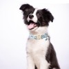ARING PET Dog Collar, Cute Dinosaur Dog Collar with Quick