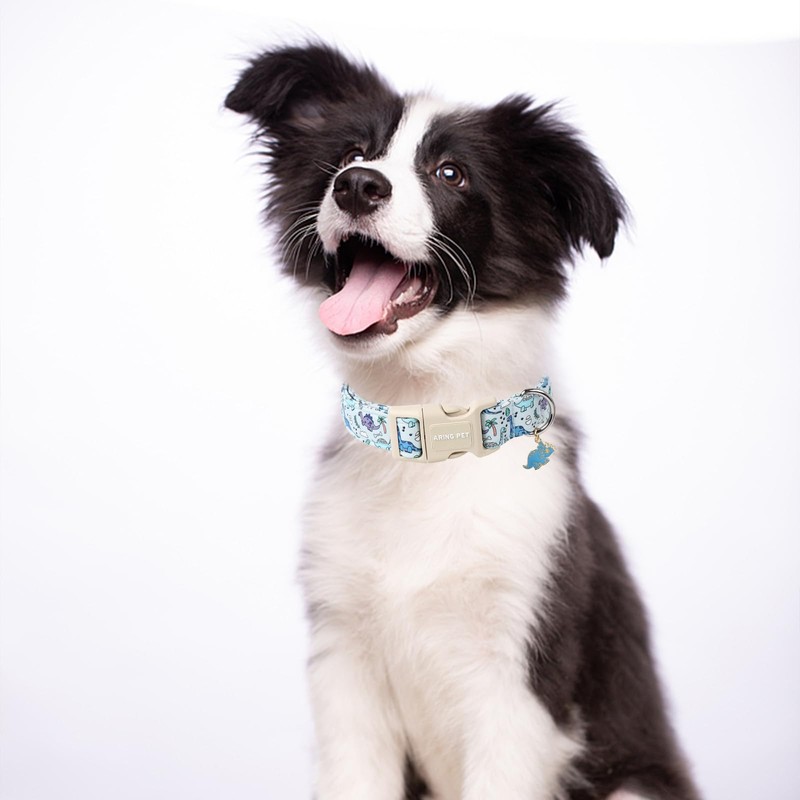 ARING PET Dog Collar, Cute Dinosaur Dog Collar with Quick