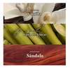 Athena Club Bruma para Cabello y Cuerpo Mini, Vainilla Dorada,