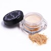 Rachel Wine Mineral Foundation [SPF27 PA+++] [Opal] 0.16 oz (4.5