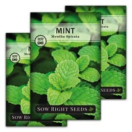 Sow Right Seeds Sow Right Seeds - Mint Seed for Planting - Non-GMO Heirloom Packet with Instructions to Plant an Herbal Tea Garden - Indoors or Outdoor - Perennial and Fragrant - Hydroponics and Kitchen Gardening (3)