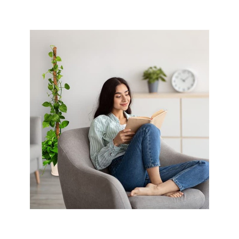 Monstera Stanches 1 Pack 120cm, Higo Stanches Can Be Bended