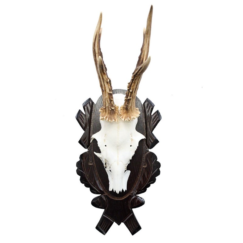 EUROHUNT 560896 Trophy Holder for Roe Buck Horns 2 Pieces