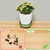 Deep Plant Saucer, Plastic Bottom Watering Tray with Height-adjustable Planter