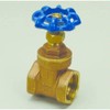 PROFLO PFXT300G PROFLO PFXT300G 1" Non Rising Stem Gate Valve