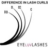 Eyeluvlashes PROFESSIONAL EYELASH EXTENSIONS Volume Lash Trays Silk Eyelash Extensions