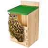 Owl House Owl Box with Bird Stand Design, Owl Nesting