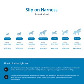 BullyBillows Slip-On Dog Harness - Foam Padded, Neoprene-Lined, Adjustable, Non-Restrictive Y-Shape with Reflective Strips & Stainless Steel D-Loop |Blue-Orange | Large