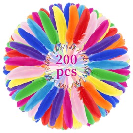 Pack of 200 Colourful Feathers, Natural Craft Feathers, Colourful Craft Feathers, Art Design, 10-15 cm Long, for DIY Artwork, Nursery, Weddings and Costume Decorations