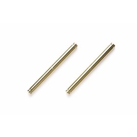 Tamiya Hop-Up Options OP.1160 F104 Titanium Coated King Pin (2 Pieces) 54160