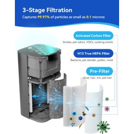 2 Pakcs G200/G200S Air Purifier Replacement Filter, Fit for G200S/G200 Air Purifier, 3-in-1 H13 Ture HEPA and Activated Carbon Air Filter for Pet Hair Dander Pollen Smoke Odor Dust Kitchen Smells