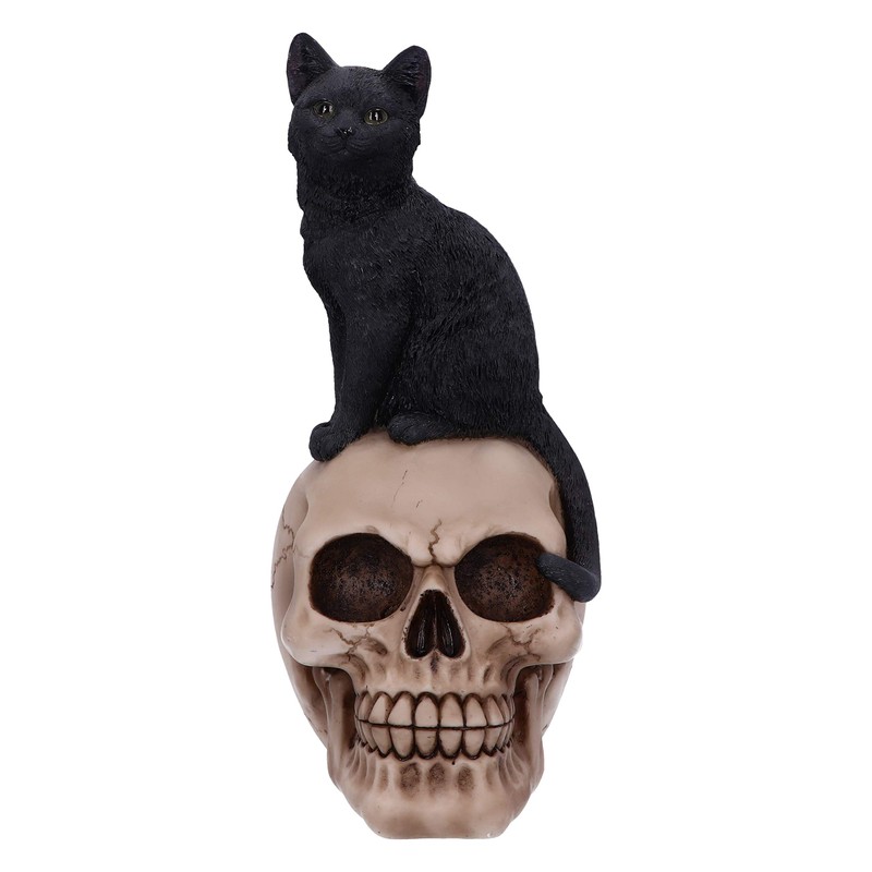 Nemesis Now Familiar Fate 24.3cm Black Witches Cat and Skull